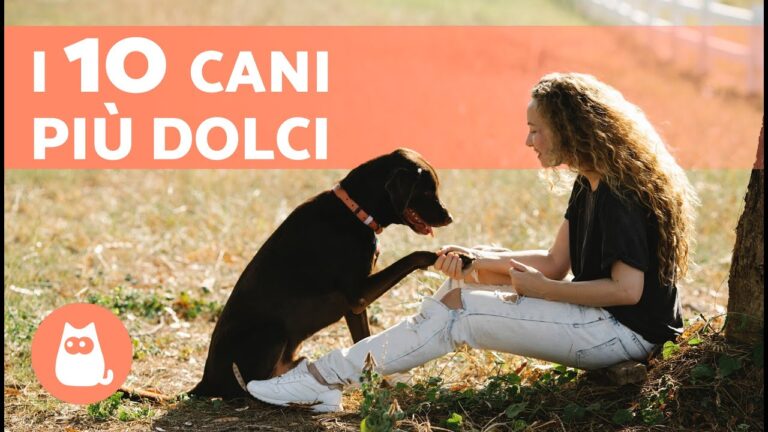 Le 30 razze di cani più popolari in Italia: Una guida completa - Nanoq