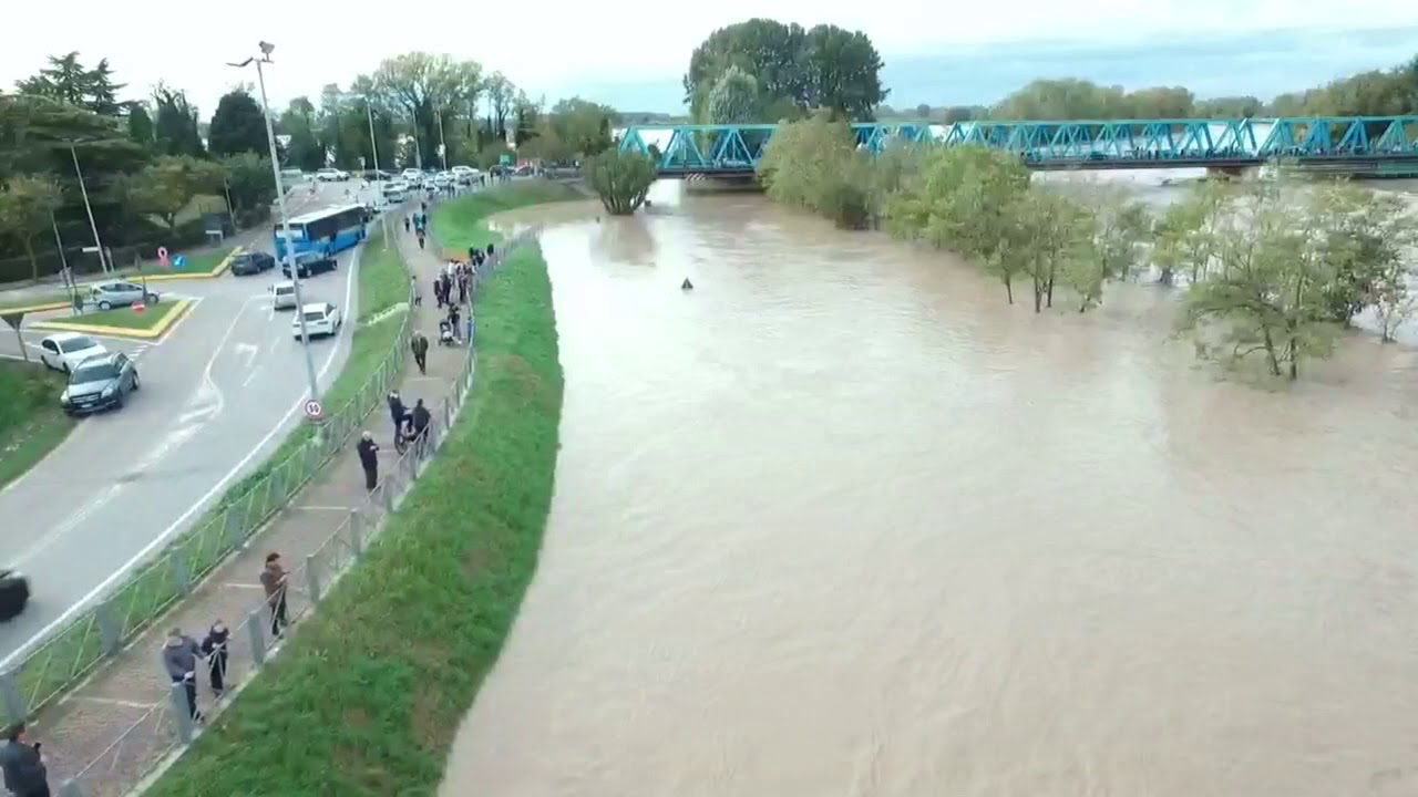 clinica veterinaria san donà di piave
