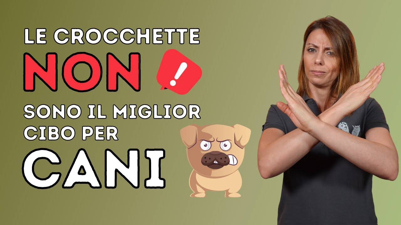 crocchette cani pressate a freddo le migliori