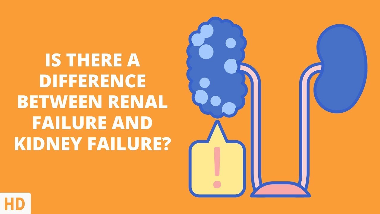 differenza tra renal e early renal