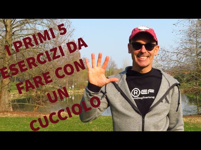 50 lezioni per addestrare il tuo cane pdf