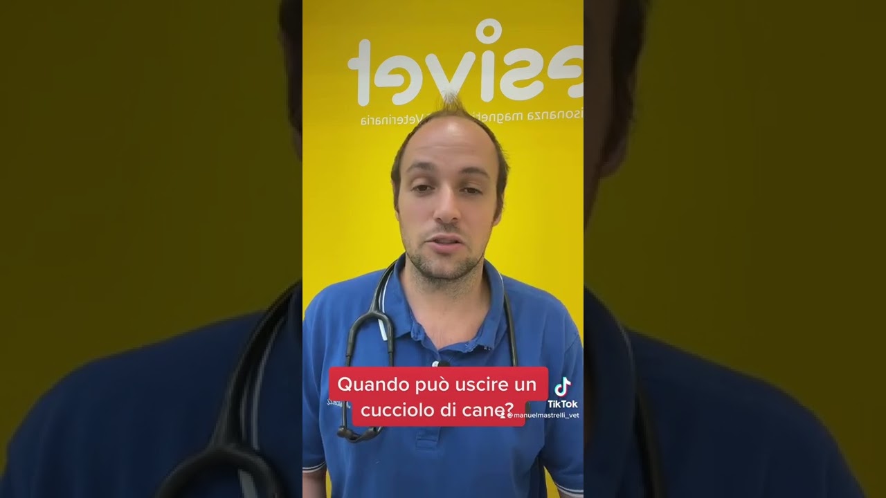 a quanti mesi può uscire un cucciolo di cane