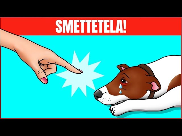 al mio cane si vedono le costole