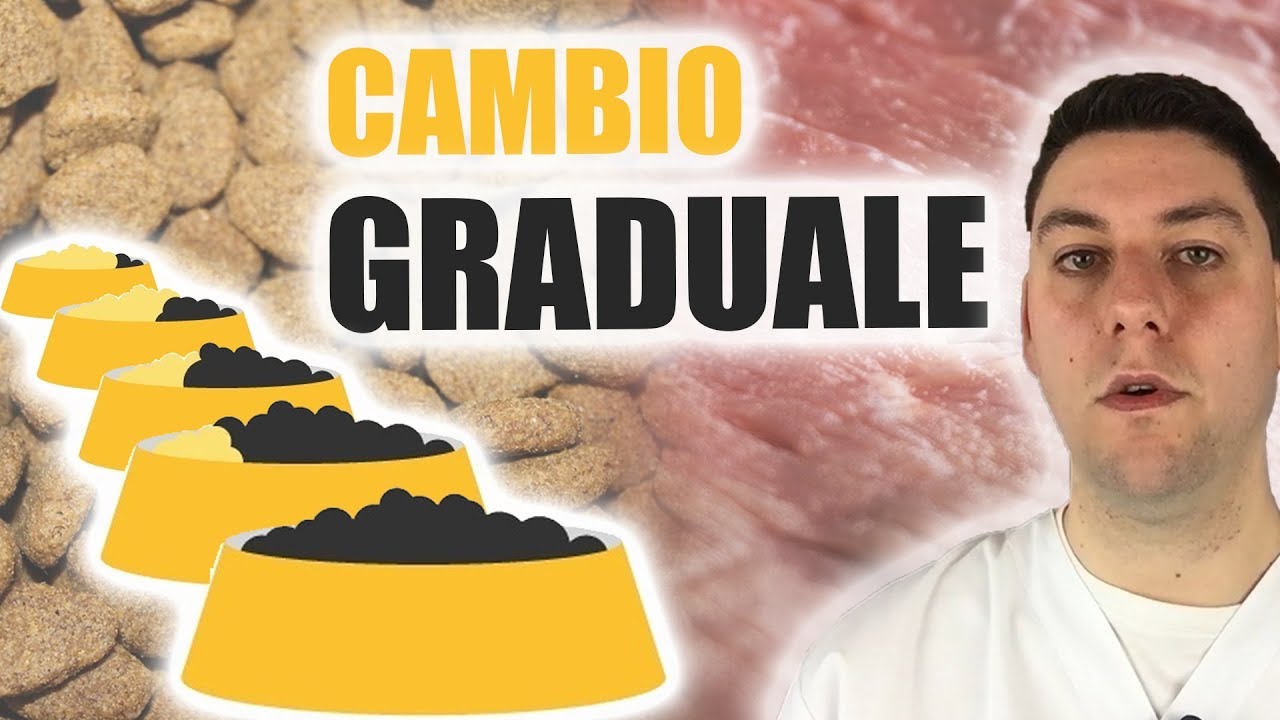 cambiare crocchette al cane fa male