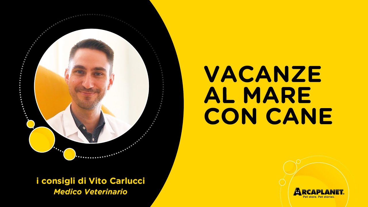 cane al mare si o no