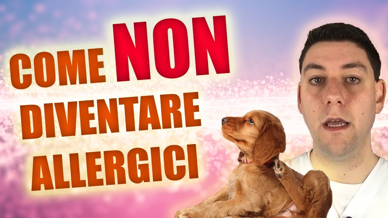 cane allergico al pollo può mangiare tacchino