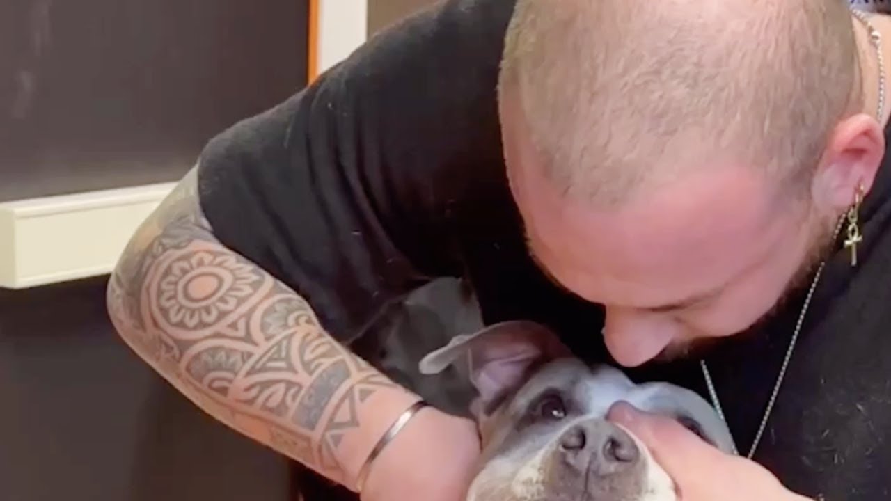 cane con striscia di pelo al contrario