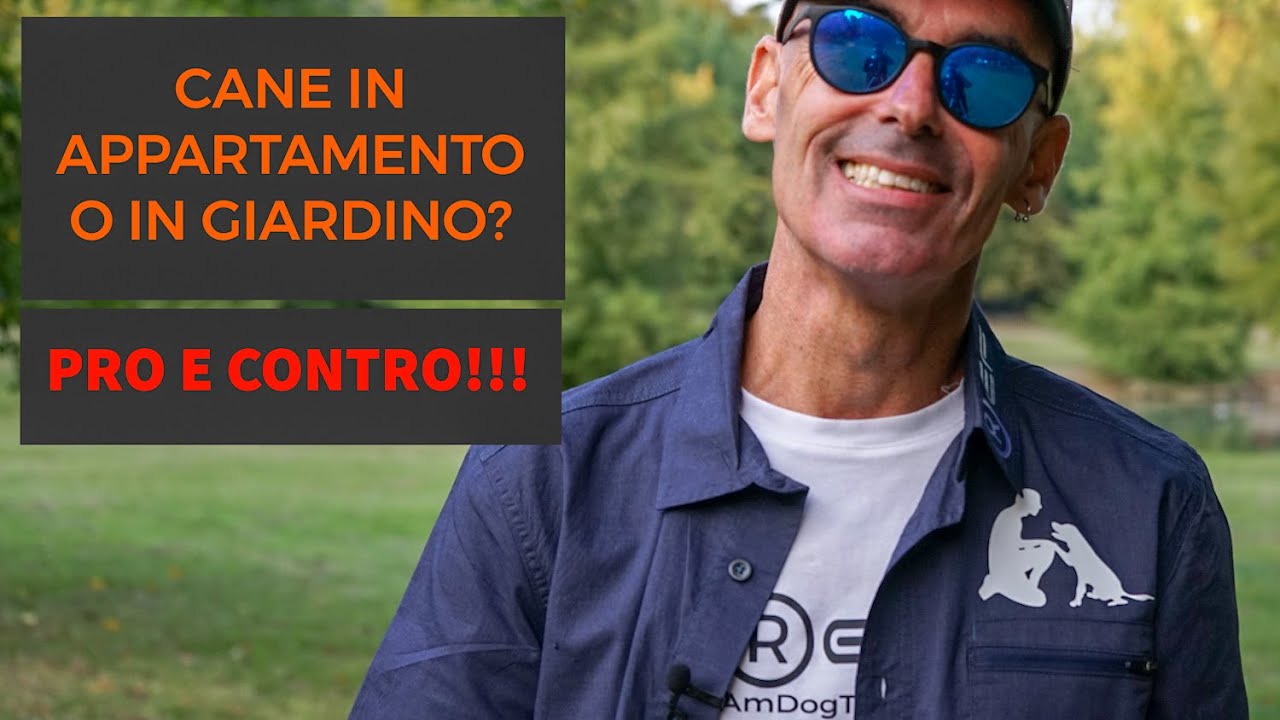 cane in casa pro e contro