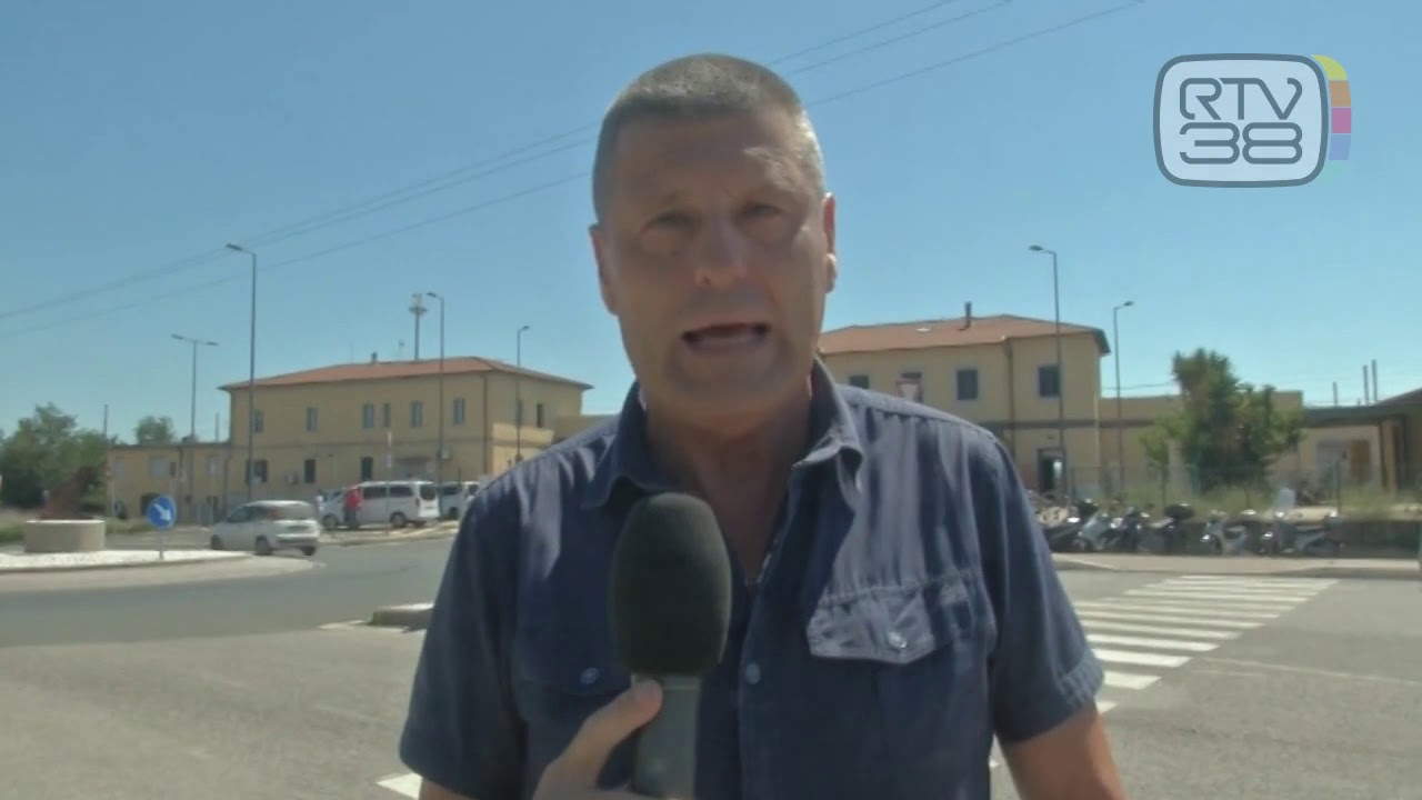 cane uccide gatto nel proprio giardino