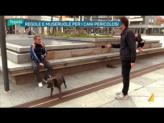cani con obbligo di museruola in italia