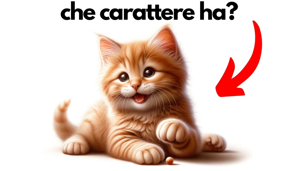 carattere dei gatti in base al colore