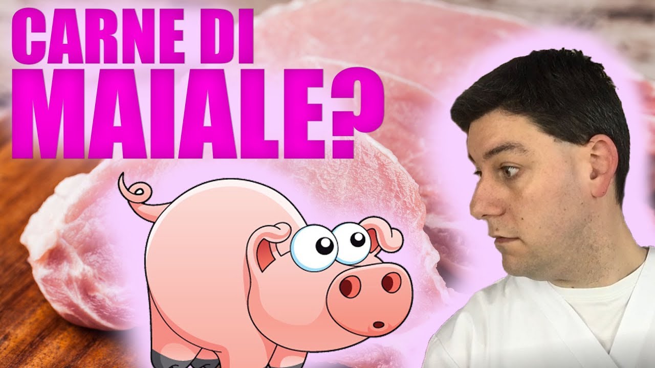 carne di maiale bollita al cane