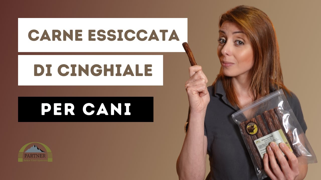 carne essiccata per cani fa male