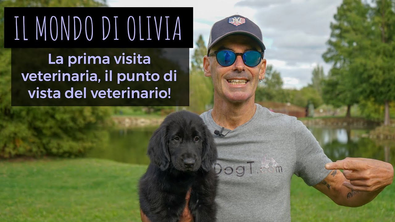 casa di cura veterinaria san geminiano recensioni