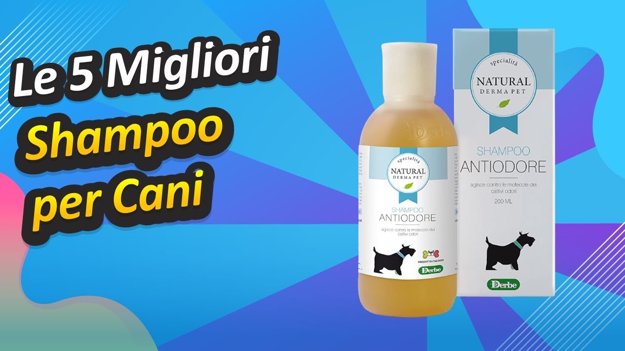 che shampoo usare per i cani