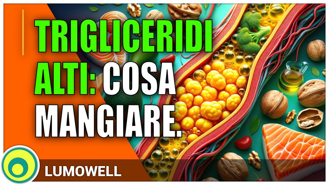 cibo per cani con trigliceridi alti