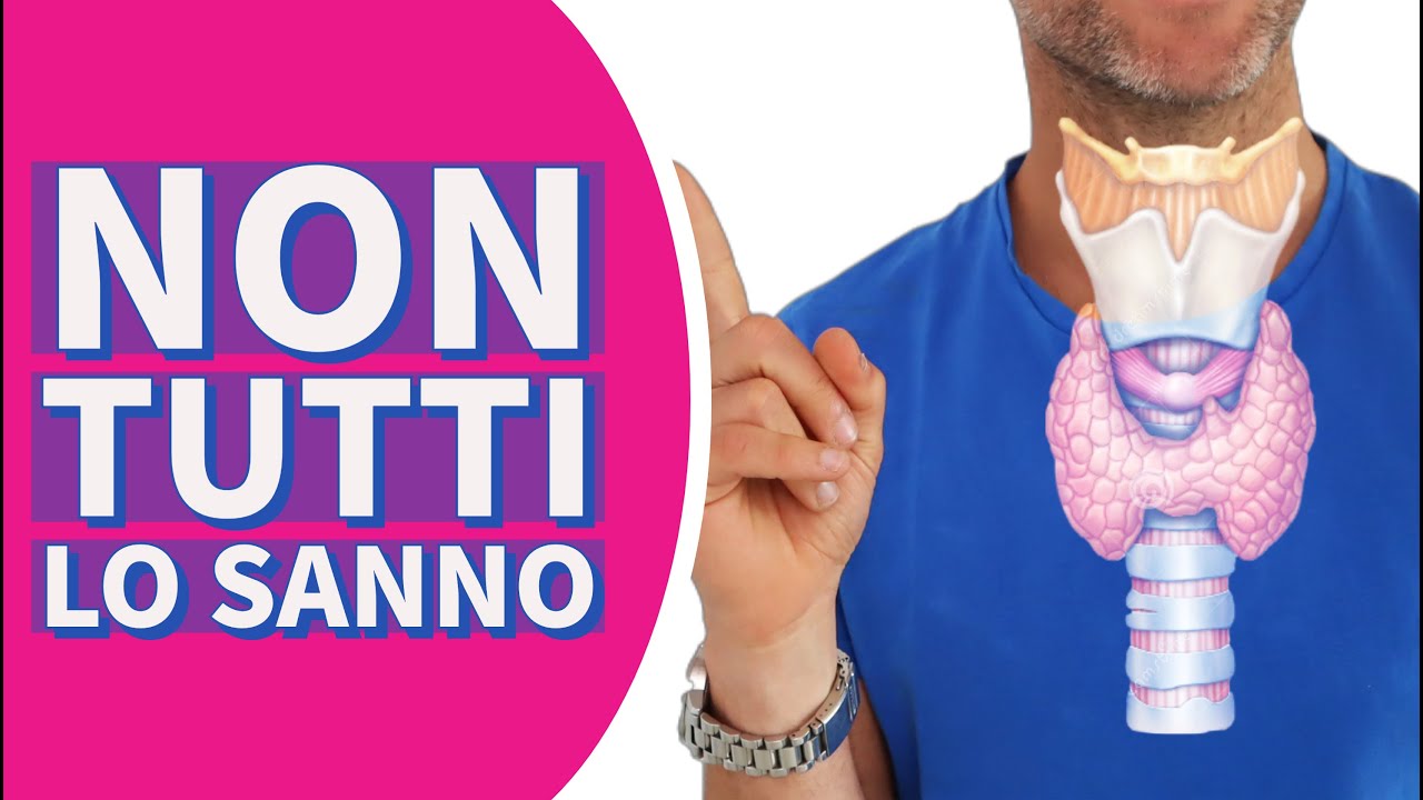 cibo per gatti con problemi di tiroide