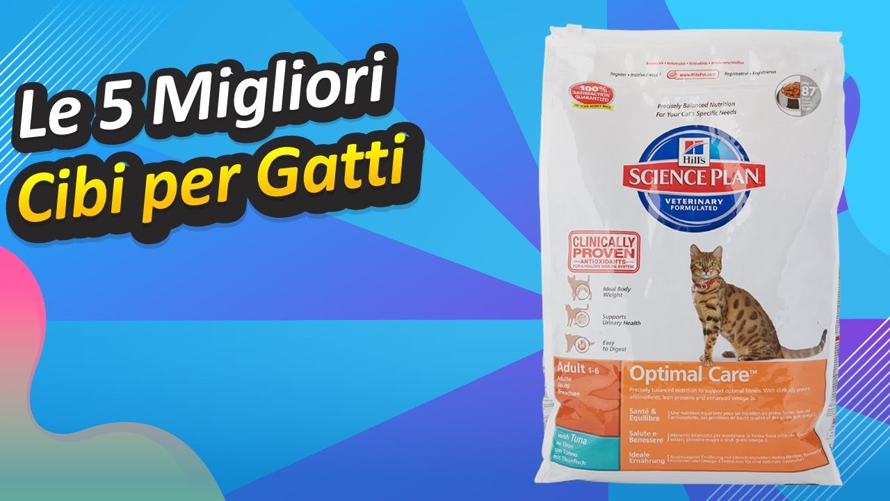 cibo per gatti consigliato dai veterinari