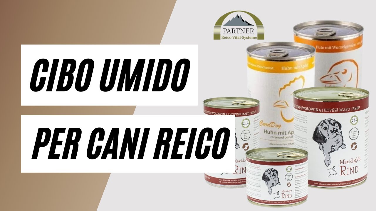 cibo umido per cani in offerta