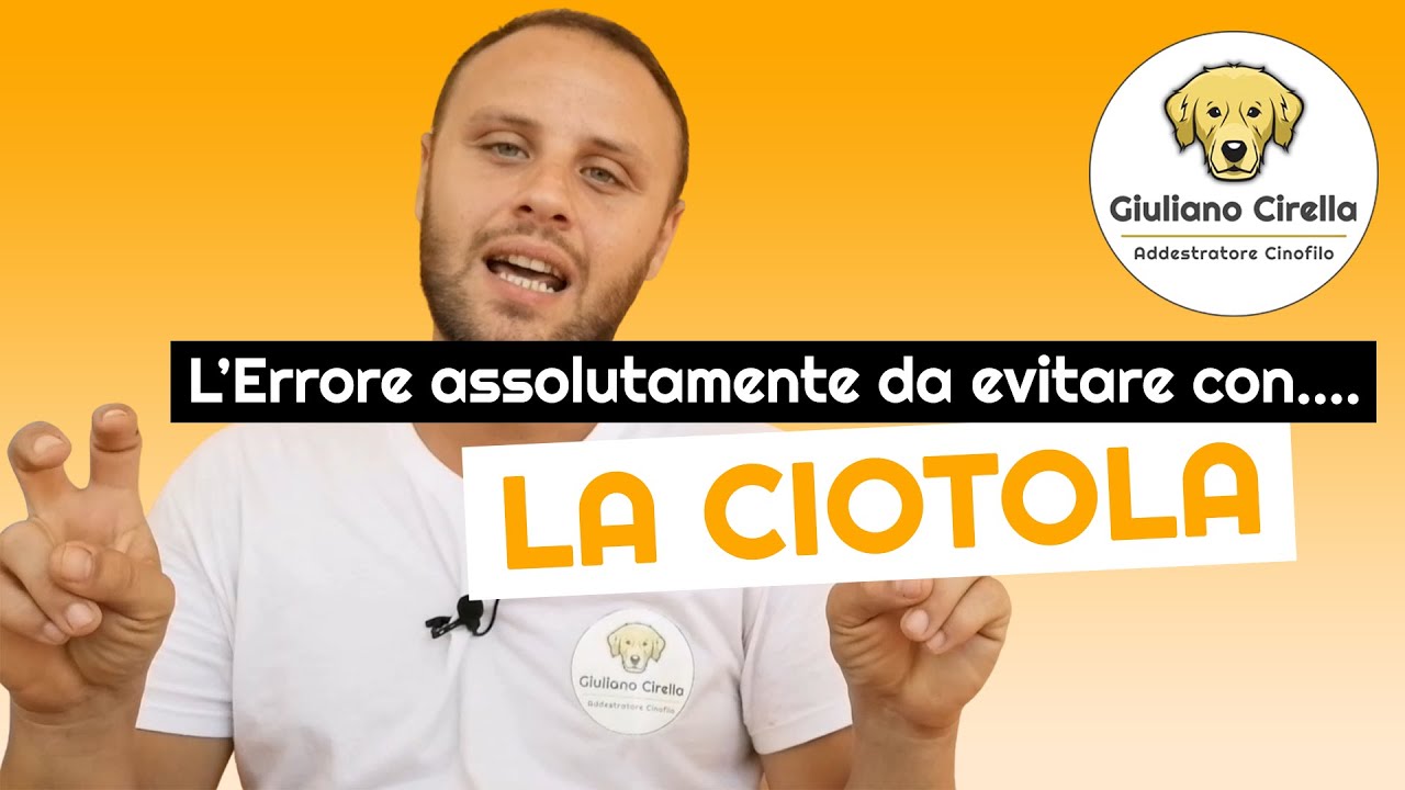 ciotola in acciaio per cani grandi