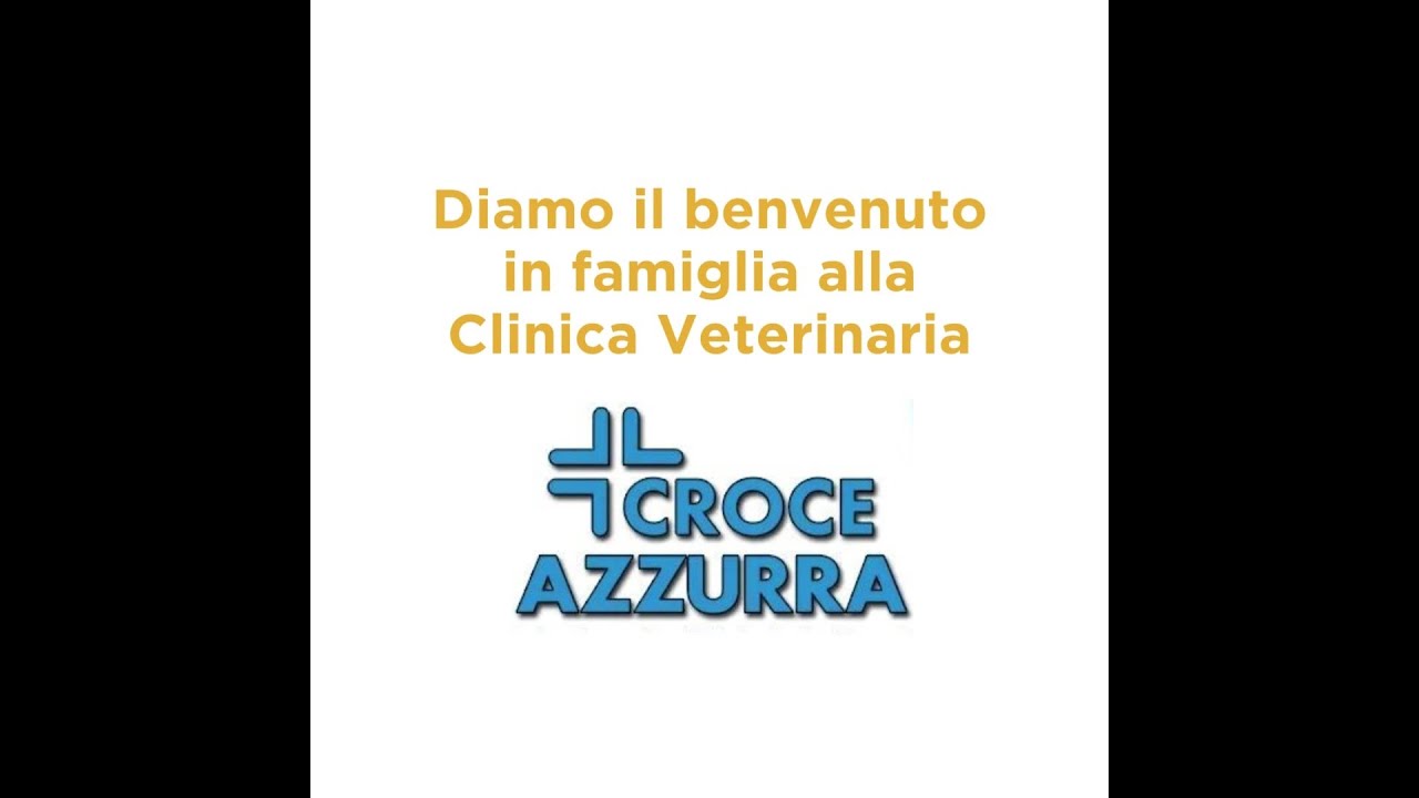 clinica veterinaria croce azzurra - frosinone recensioni