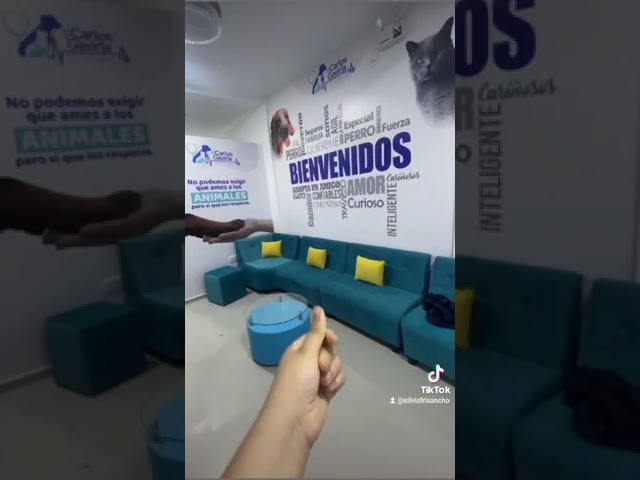 clinica veterinaria h24 vicino a me