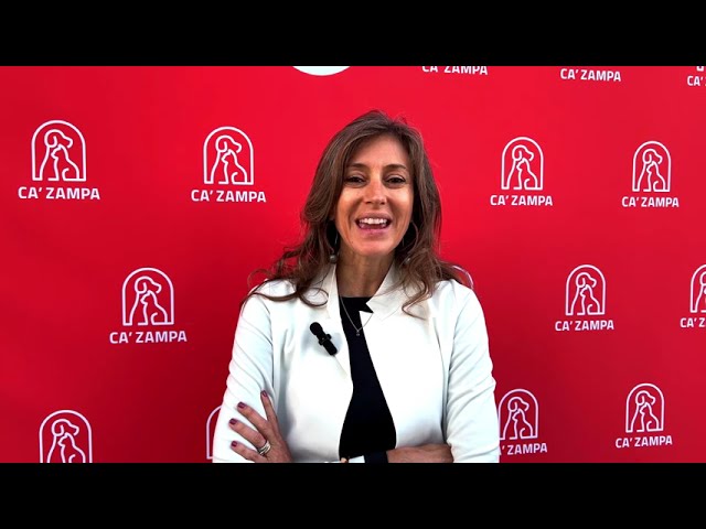 clinica veterinaria verona aperta 24 ore