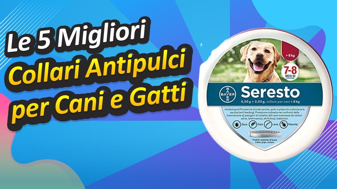 collare scalibor 65 cm miglior prezzo
