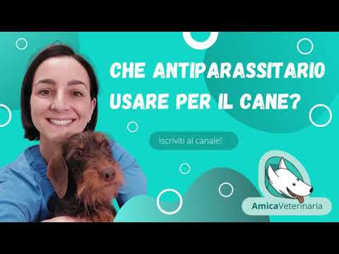 collare seresto cani fino a 8 kg offerta