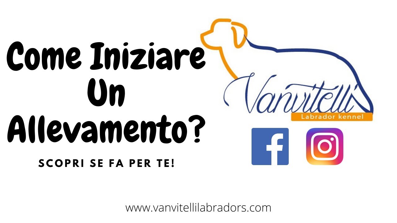 come aprire un allevamento di cani