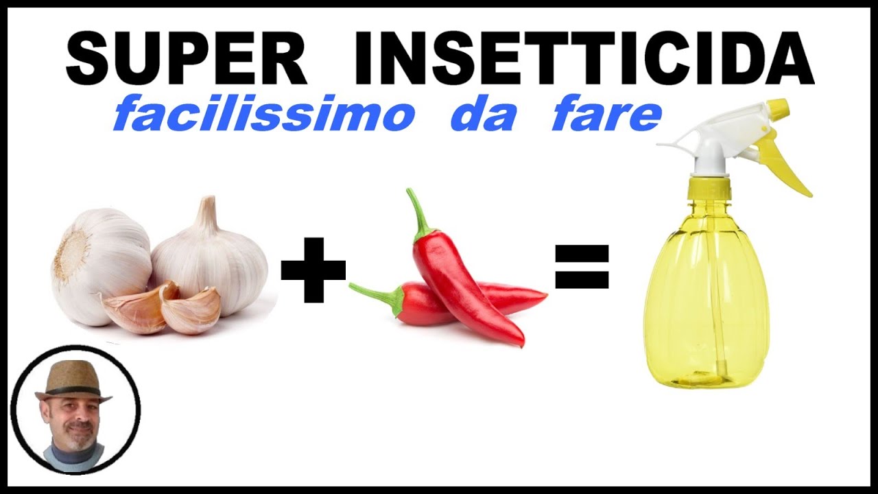 come eliminare le zecche in casa