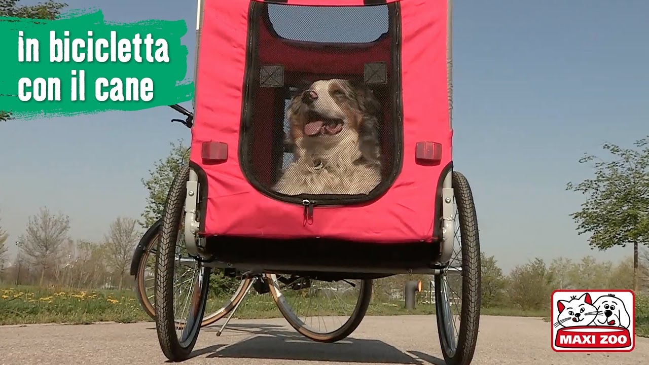 come portare il cane in bici