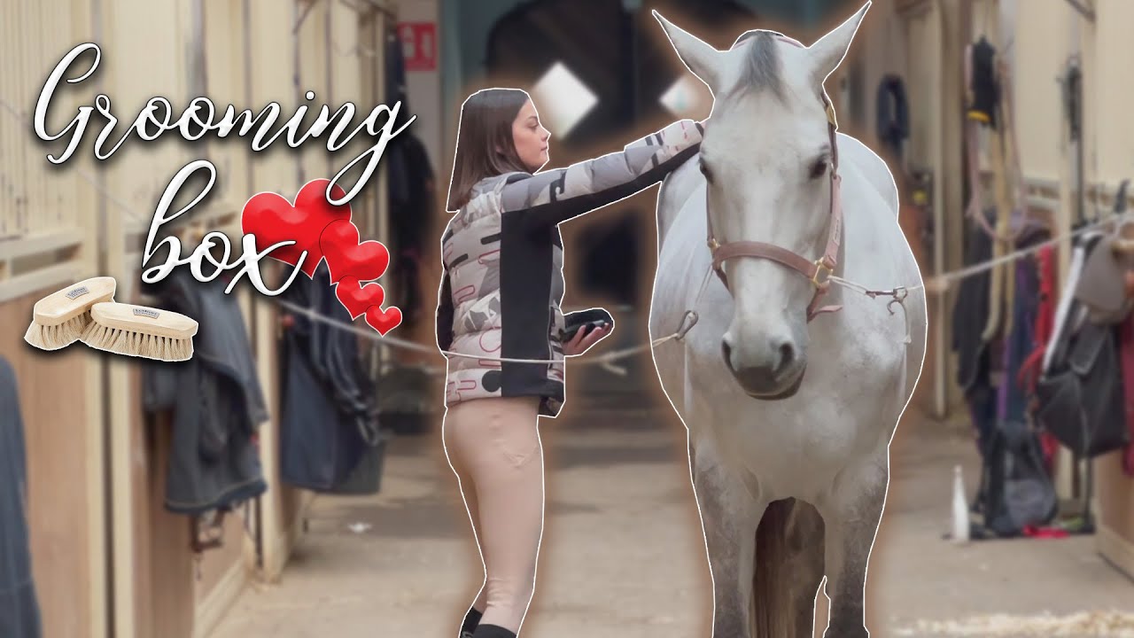 come si chiamano i capelli del cavallo