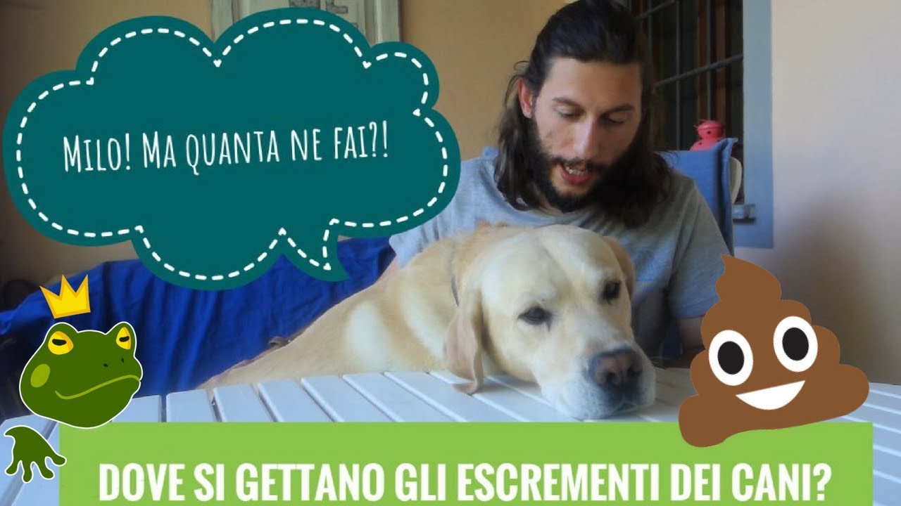 come smaltire la cacca del cane in giardino