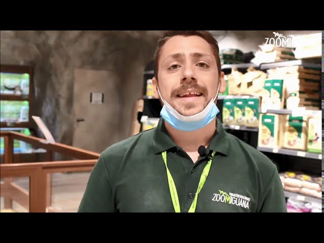come tenere un coniglio nano in casa