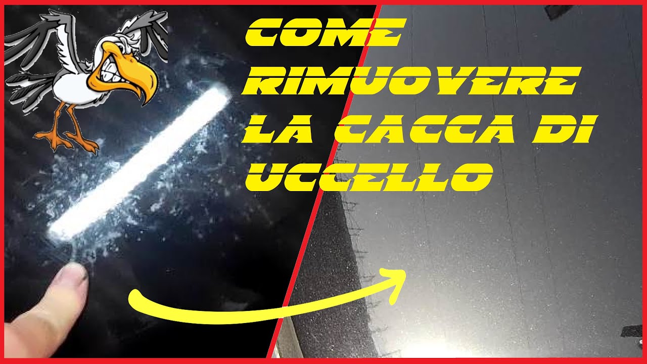 come togliere le macchie di cacca