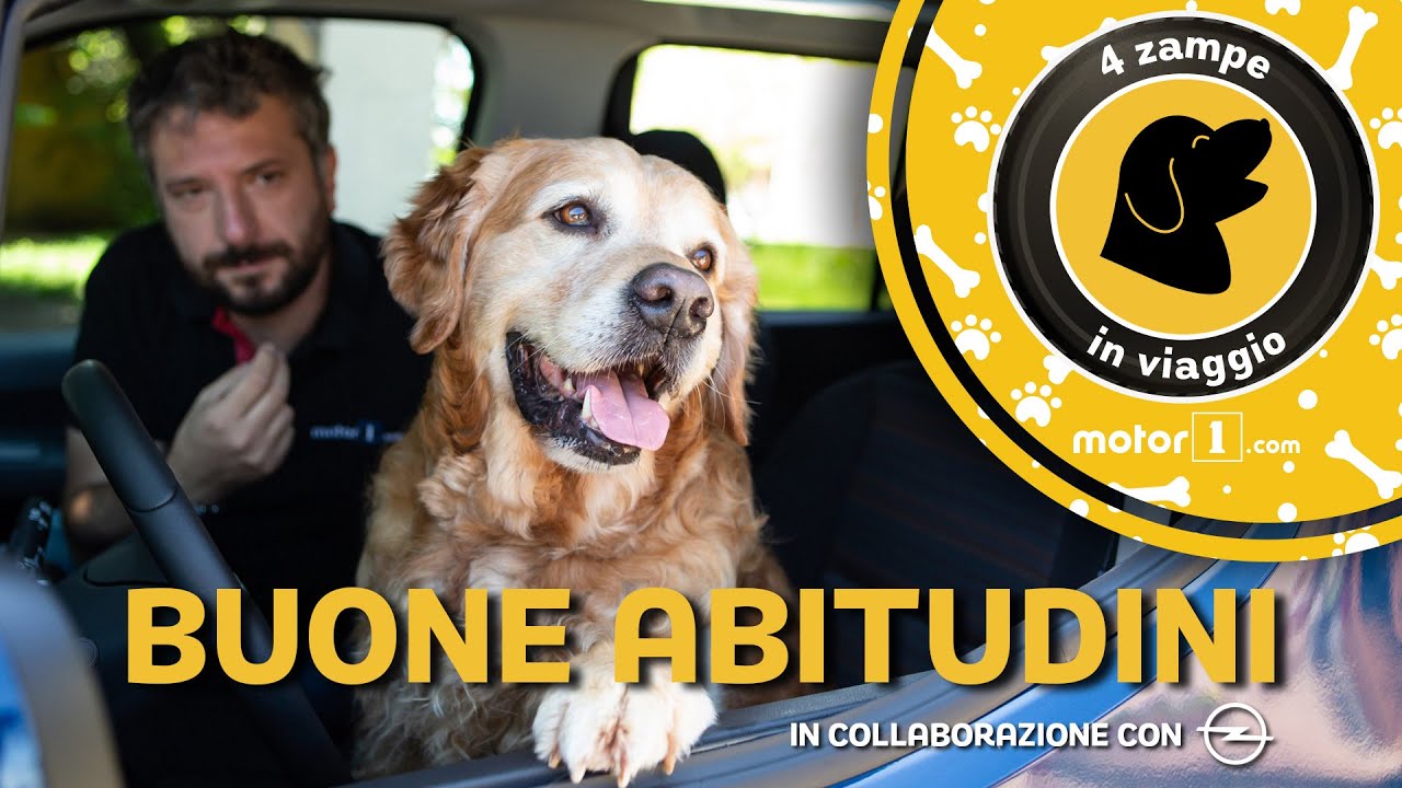 come trasportare un cane per le scale