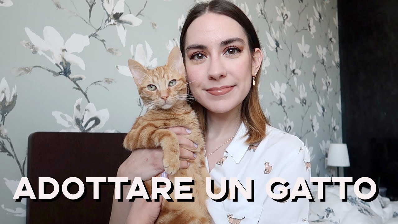 cosa sapere prima di prendere un gatto