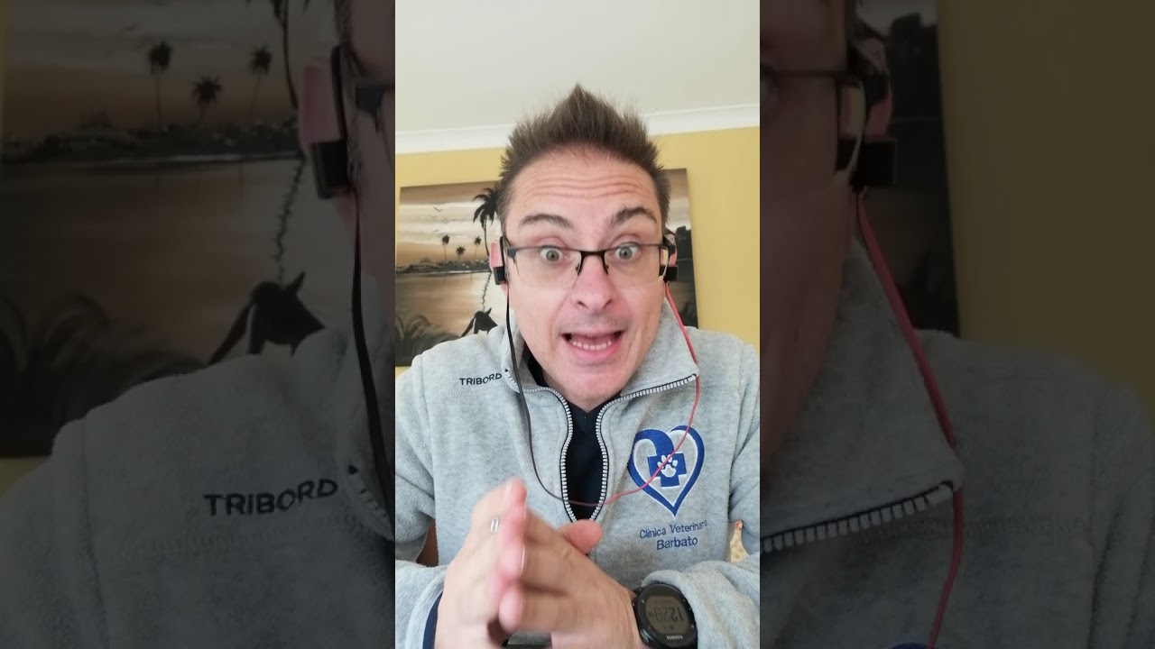 cosa vuol dire quando il cane vomita giallo