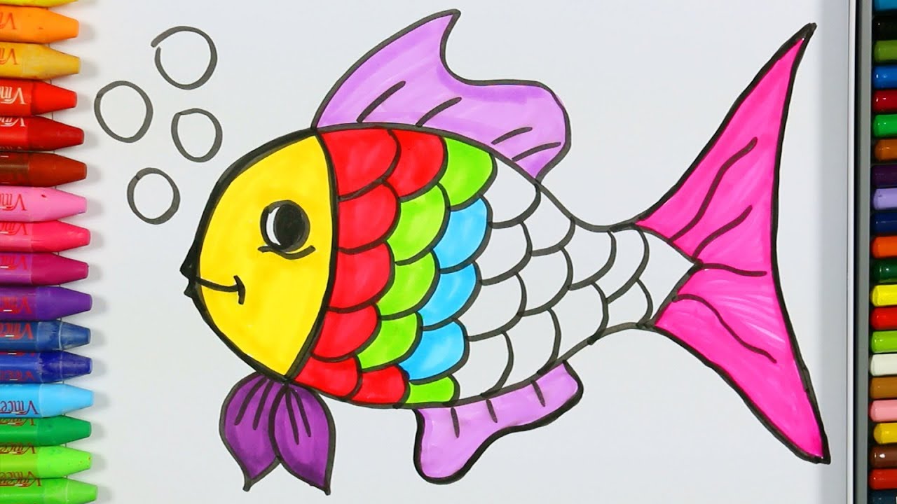 di che colore sono i pesci