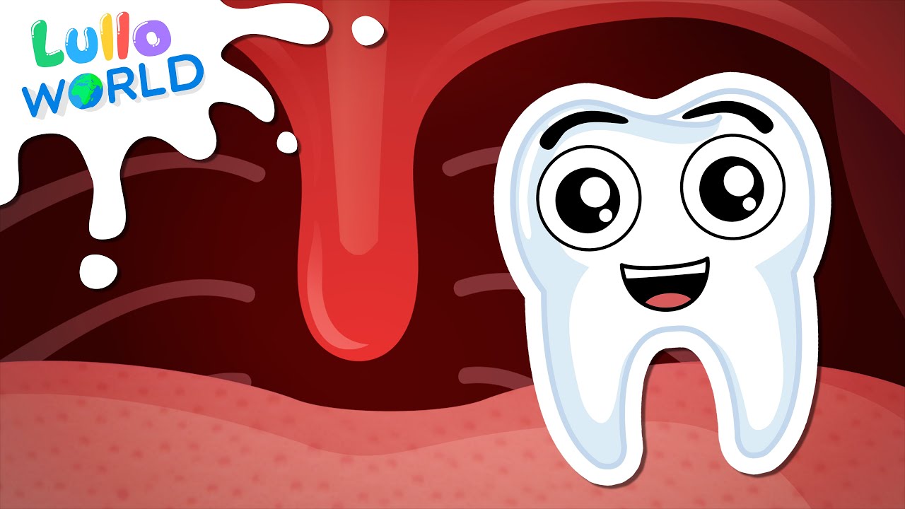 di cosa sono fatti i denti umani