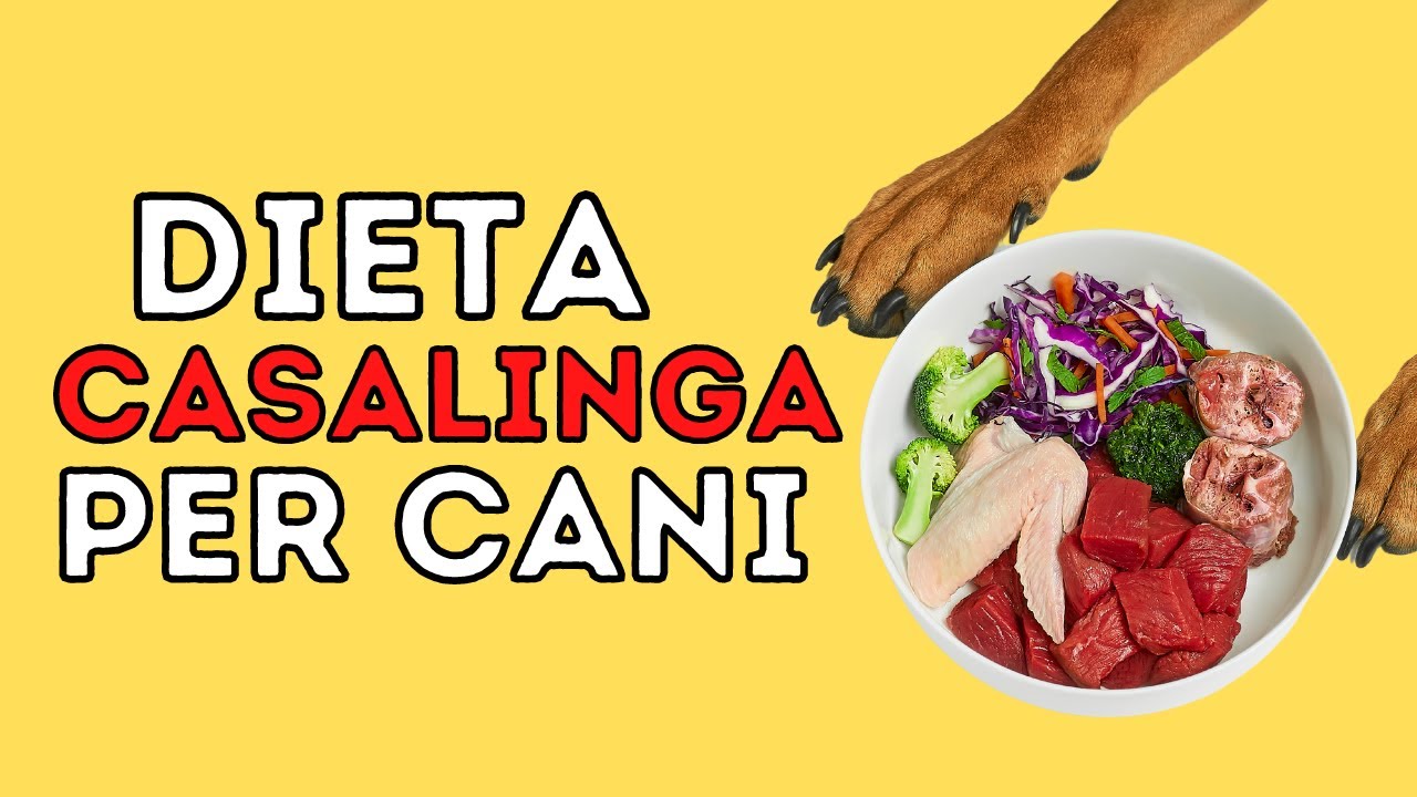 dieta casalinga per cani con problemi gastrointestinali