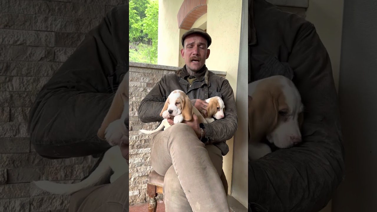 differenza di carattere tra cane maschio e femmina