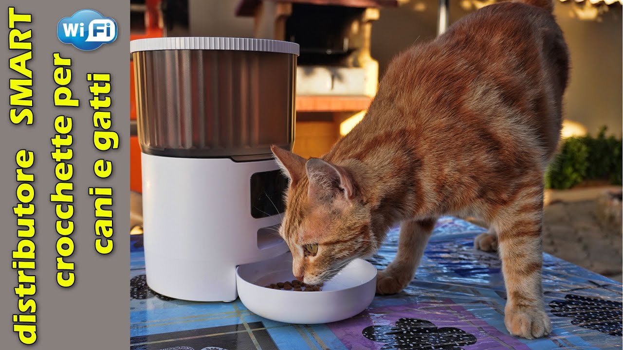 distributori automatici di cibo per cani