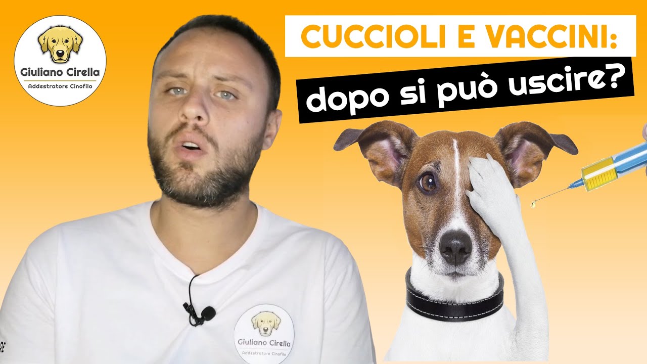 dopo quanti vaccini può uscire il cane