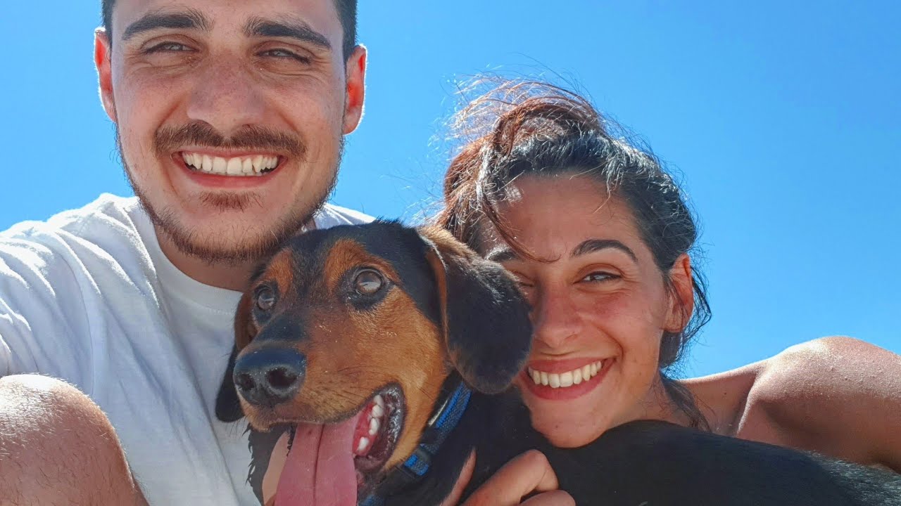 dove andare al mare con il cane
