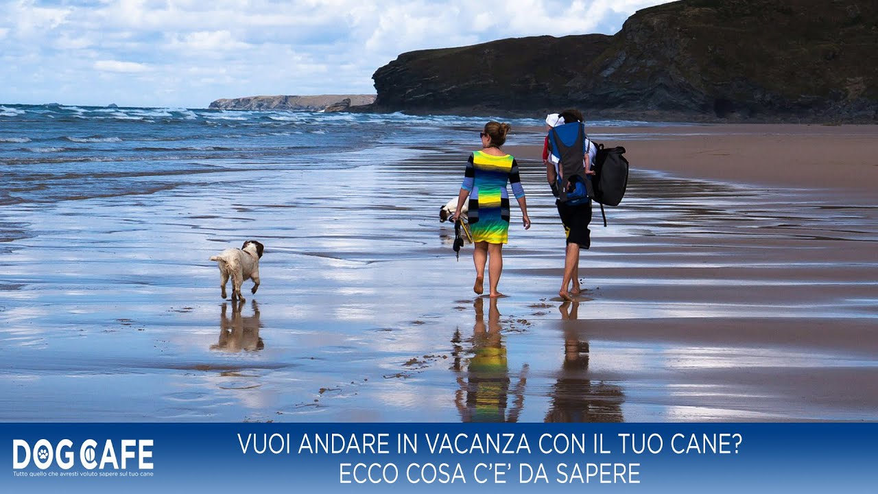 dove andare in vacanza con il cane mare