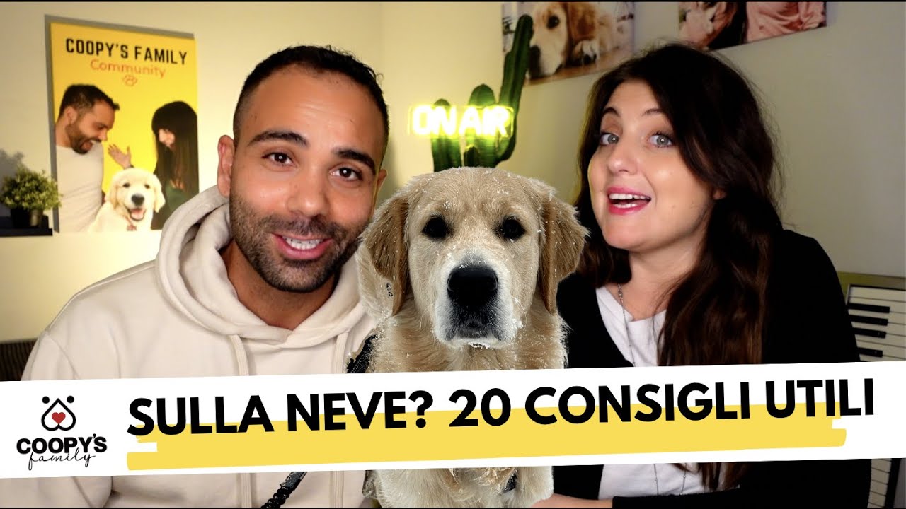 dove portare il cane sulla neve