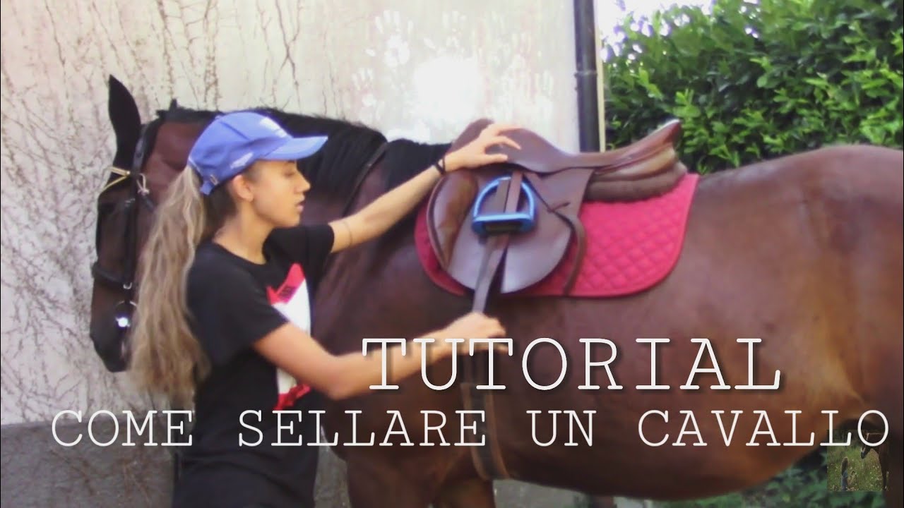 fino a che età si può montare un cavallo