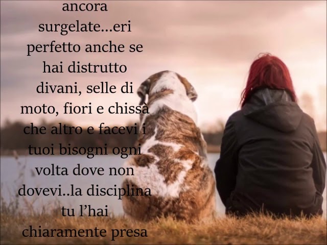 frasi per un cane che non c'è più